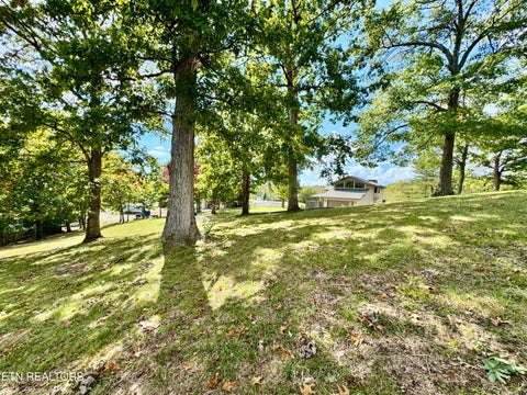Tiny photo for 1065 Poplar Lane, Winfield, TN 37892 (MLS # 1359822)