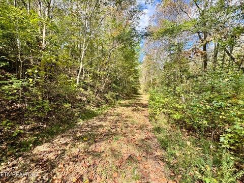 Tiny photo for 1065 Poplar Lane, Winfield, TN 37892 (MLS # 1359822)