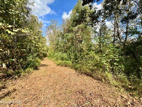 Tiny photo for 1065 Poplar Lane, Winfield, TN 37892 (MLS # 1359822)