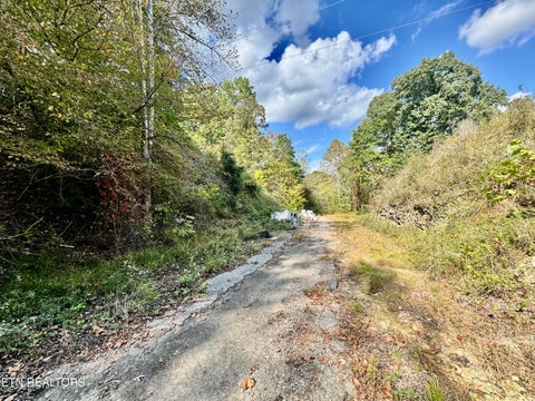 Tiny photo for 1065 Poplar Lane, Winfield, TN 37892 (MLS # 1359822)