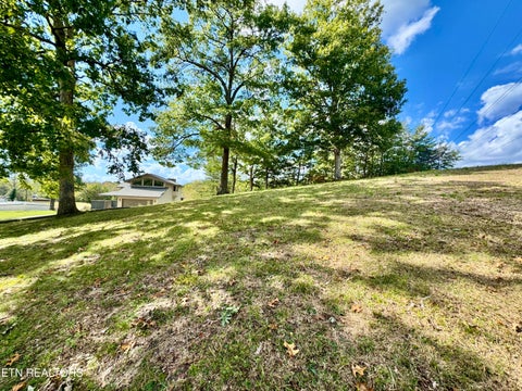 Tiny photo for 1065 Poplar Lane, Winfield, TN 37892 (MLS # 1359822)