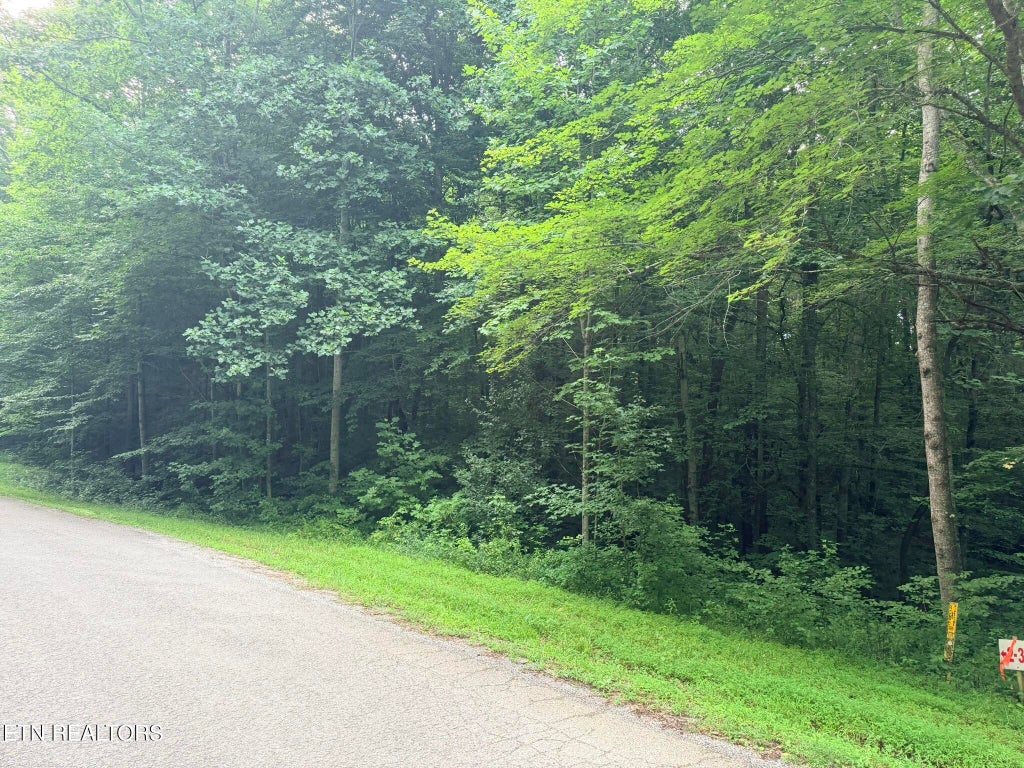 Photo of Lot 2 Evergreen Drive, Oneida, TN 37841 (MLS # 1310678)