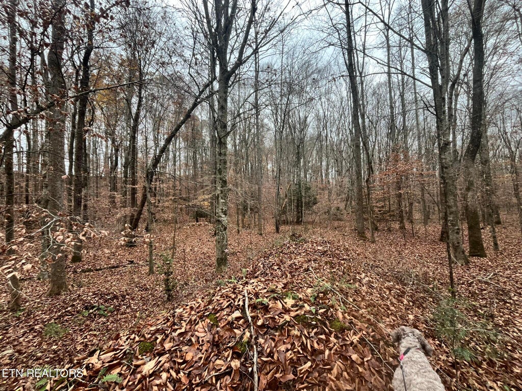 Photo of Lot 2 Evergreen Drive, Oneida, TN 37841 (MLS # 1310678)