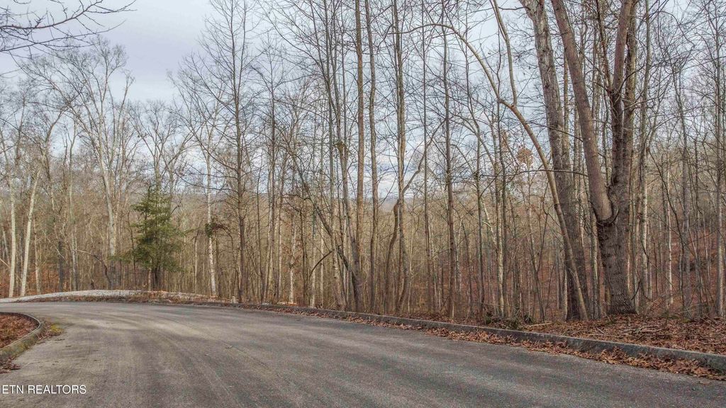 Photo of 128 Walker Way, Kingston, TN 37763 (MLS # 1287726)