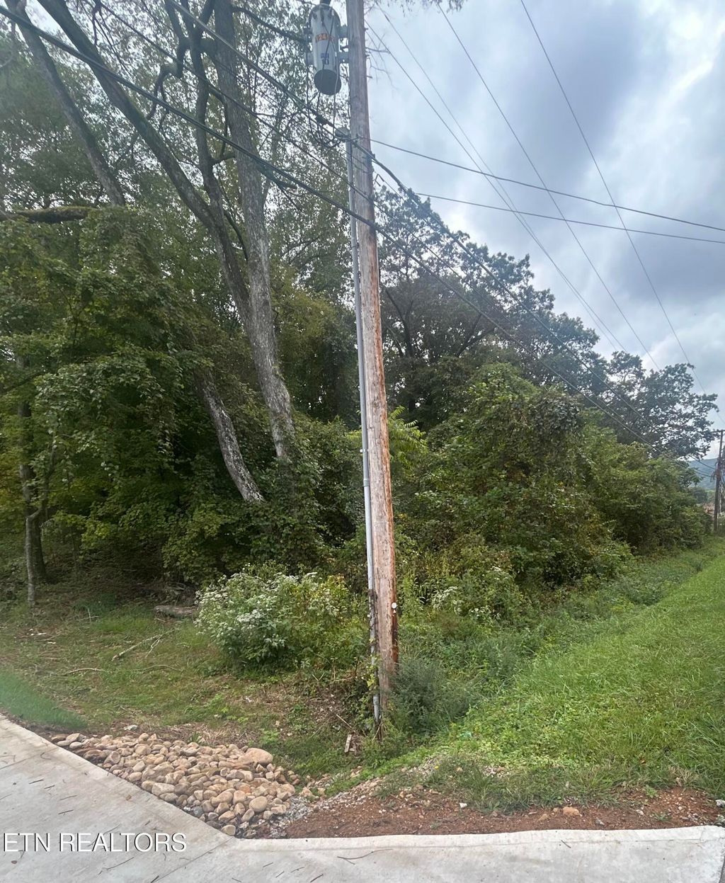 Photo of 307311 Kingston Ave, Rockwood, TN 37854 (MLS # 1316362)