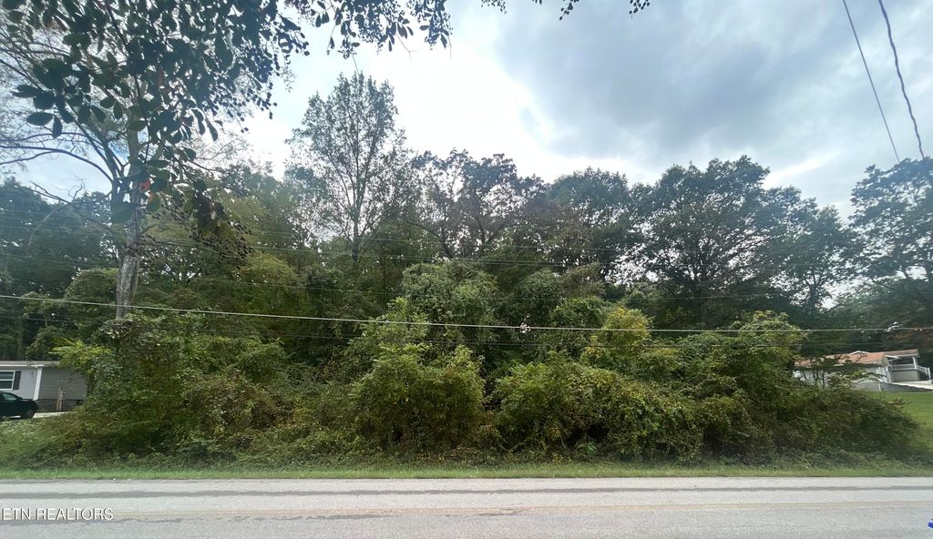 Photo of 307311 Kingston Ave, Rockwood, TN 37854 (MLS # 1316362)