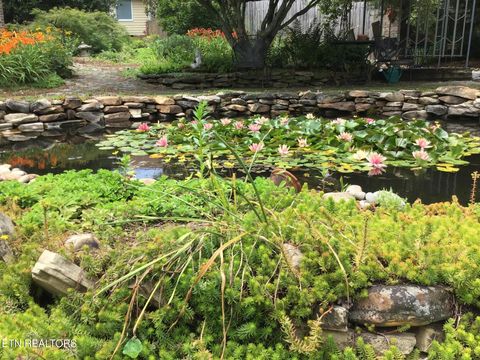 Tiny photo for 7824 Beckett Ridge Court, Powell, TN 37849 (MLS # 1336888)