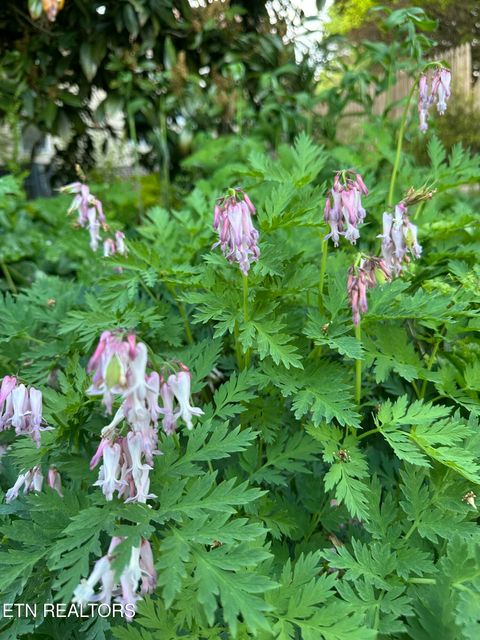 Tiny photo for 7824 Beckett Ridge Court, Powell, TN 37849 (MLS # 1336888)