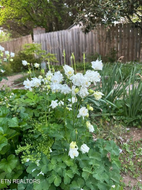 Tiny photo for 7824 Beckett Ridge Court, Powell, TN 37849 (MLS # 1336888)