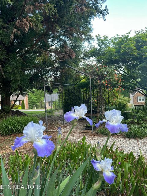 Tiny photo for 7824 Beckett Ridge Court, Powell, TN 37849 (MLS # 1336888)