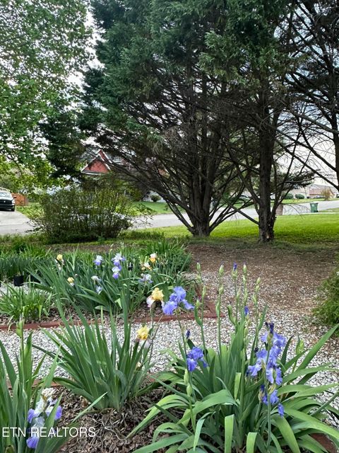 Tiny photo for 7824 Beckett Ridge Court, Powell, TN 37849 (MLS # 1336888)