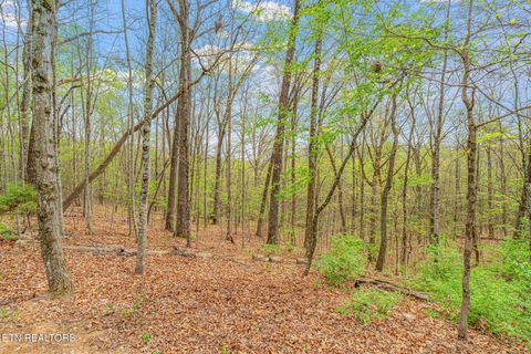 Tiny photo for 2002 Cypresswood Lane, Knoxville, TN 37932 (MLS # 1335450)