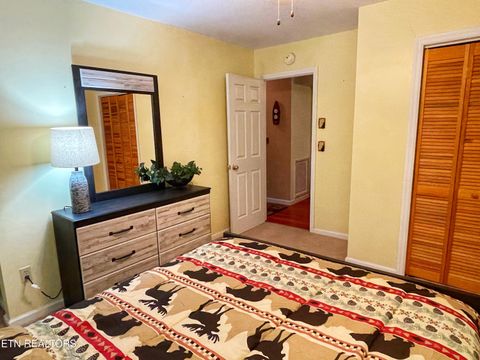 Tiny photo for 3587 Mountain Creek Way, Cosby, TN 37722 (MLS # 1335118)