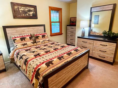 Tiny photo for 3587 Mountain Creek Way, Cosby, TN 37722 (MLS # 1335118)