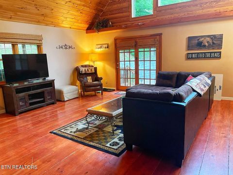 Tiny photo for 3587 Mountain Creek Way, Cosby, TN 37722 (MLS # 1335118)