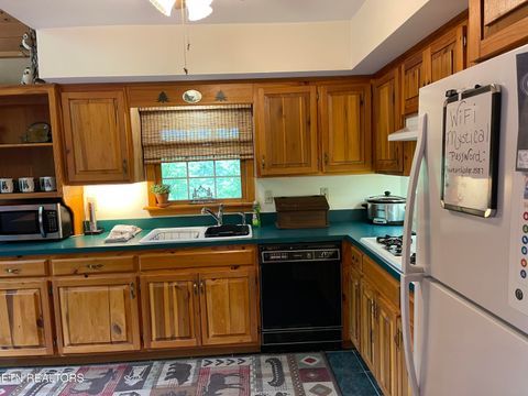 Tiny photo for 3587 Mountain Creek Way, Cosby, TN 37722 (MLS # 1335118)