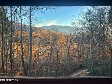 Tiny photo for 3587 Mountain Creek Way, Cosby, TN 37722 (MLS # 1335118)