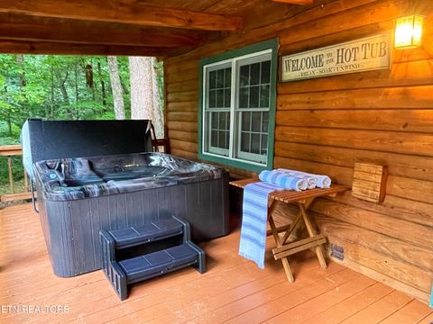 Tiny photo for 3587 Mountain Creek Way, Cosby, TN 37722 (MLS # 1335118)