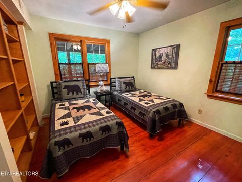 Tiny photo for 3587 Mountain Creek Way, Cosby, TN 37722 (MLS # 1335118)