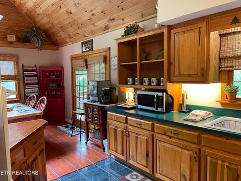 Tiny photo for 3587 Mountain Creek Way, Cosby, TN 37722 (MLS # 1335118)