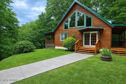 Tiny photo for 3587 Mountain Creek Way, Cosby, TN 37722 (MLS # 1335118)