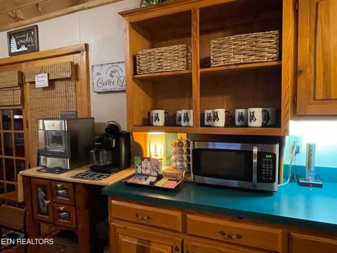 Tiny photo for 3587 Mountain Creek Way, Cosby, TN 37722 (MLS # 1335118)