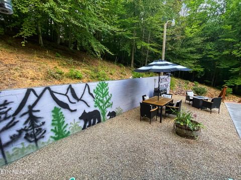 Tiny photo for 3587 Mountain Creek Way, Cosby, TN 37722 (MLS # 1335118)