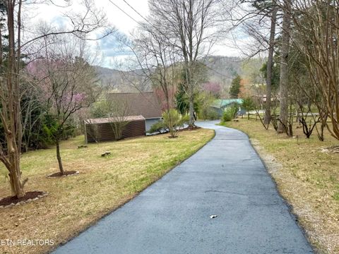 345 Old Leadmine Bend Rd Sharps Chapel TN 37866
