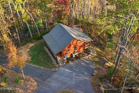 Tiny photo for 3571 Locust Ridge Rd, Sevierville, TN 37876 (MLS # 1338302)