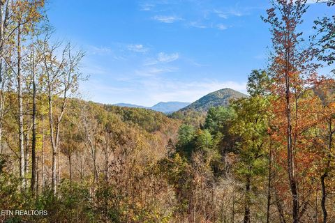 Tiny photo for 3571 Locust Ridge Rd, Sevierville, TN 37876 (MLS # 1338302)