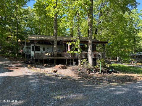 Tiny photo for 605 Lily Way, Cosby, TN 37722 (MLS # 1340363)