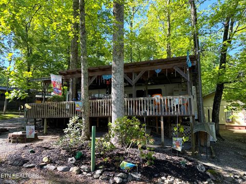 Tiny photo for 605 Lily Way, Cosby, TN 37722 (MLS # 1340363)