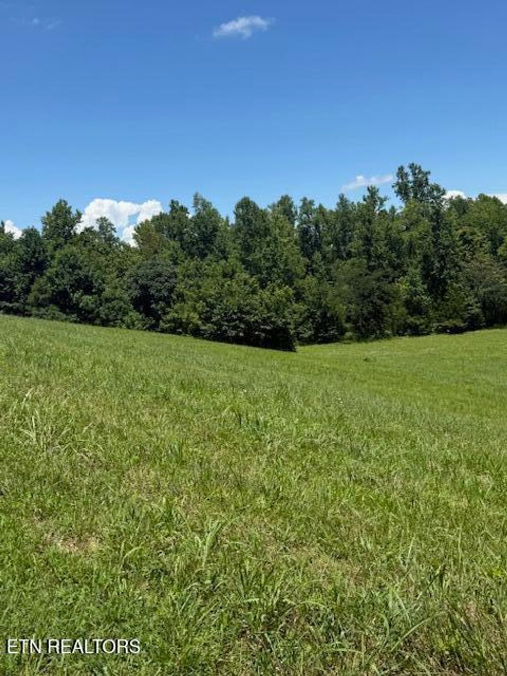 Photo of 00 Mill Drive, Decatur, TN 37322 (MLS # 1309011)