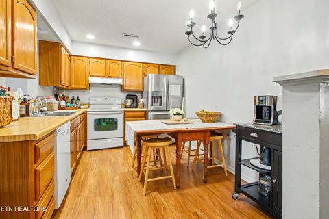 Tiny photo for 8060 Hansboro Way, Powell, TN 37849 (MLS # 1340839)