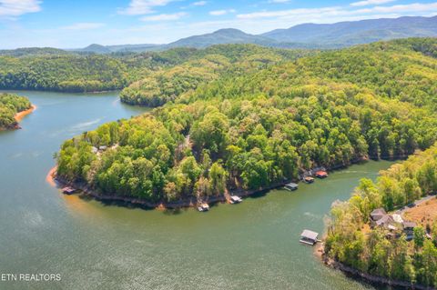 Tiny photo for 51 S Shorewood Drive, Caryville, TN 37714 (MLS # 1332664)