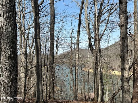 Tiny photo for 51 S Shorewood Drive, Caryville, TN 37714 (MLS # 1332664)