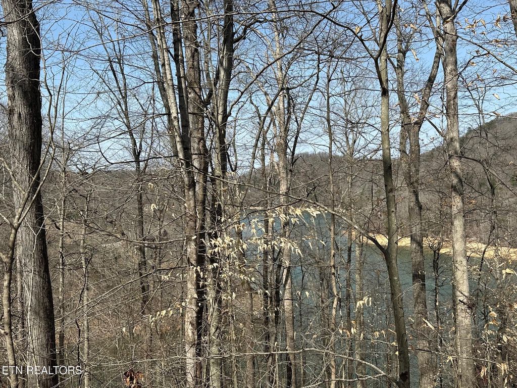 Photo of 51 S Shorewood Drive, Caryville, TN 37714 (MLS # 1332664)
