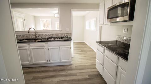 Tiny photo for 1036 Bales Rd Rd, New Market, TN 37820 (MLS # 1324431)