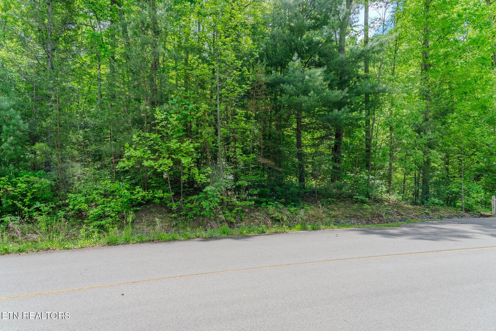 Photo of 34 Long Rifle Rd, Walland, TN 37886 (MLS # 1300387)