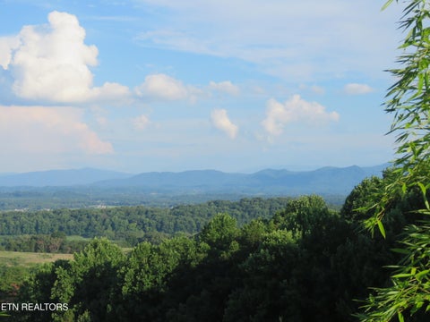 Tiny photo for 2425 Promise Lane, White Pine, TN 37890 (MLS # 1347595)
