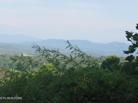 Tiny photo for 2425 Promise Lane, White Pine, TN 37890 (MLS # 1347595)
