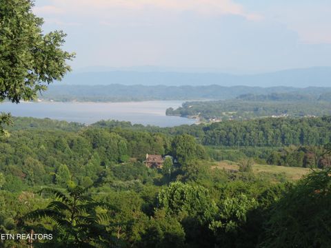 Tiny photo for 2425 Promise Lane, White Pine, TN 37890 (MLS # 1347595)