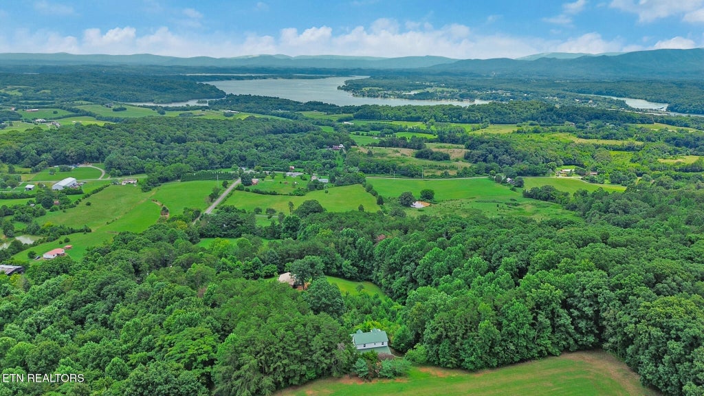 Photo of 2425 Promise Lane, White Pine, TN 37890 (MLS # 1347595)