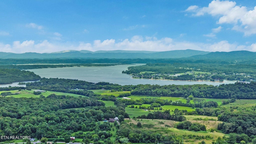 Photo of 2425 Promise Lane, White Pine, TN 37890 (MLS # 1347595)