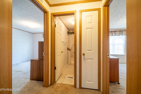 Tiny photo for 10423 Slemp Rd, Kodak, TN 37764 (MLS # 1326498)