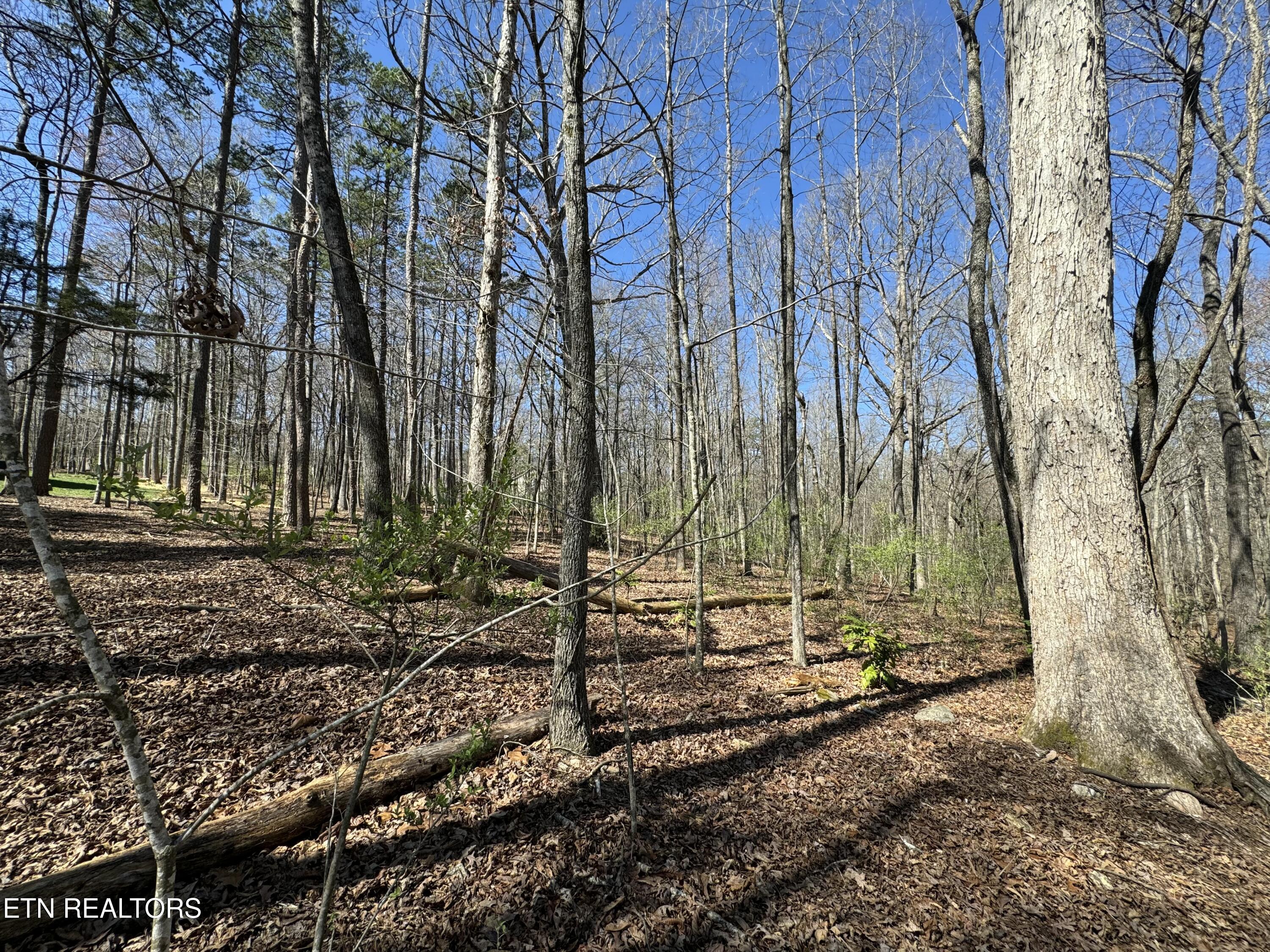 Loudon, Tennessee 37774, United States, ,Land,Active,92986