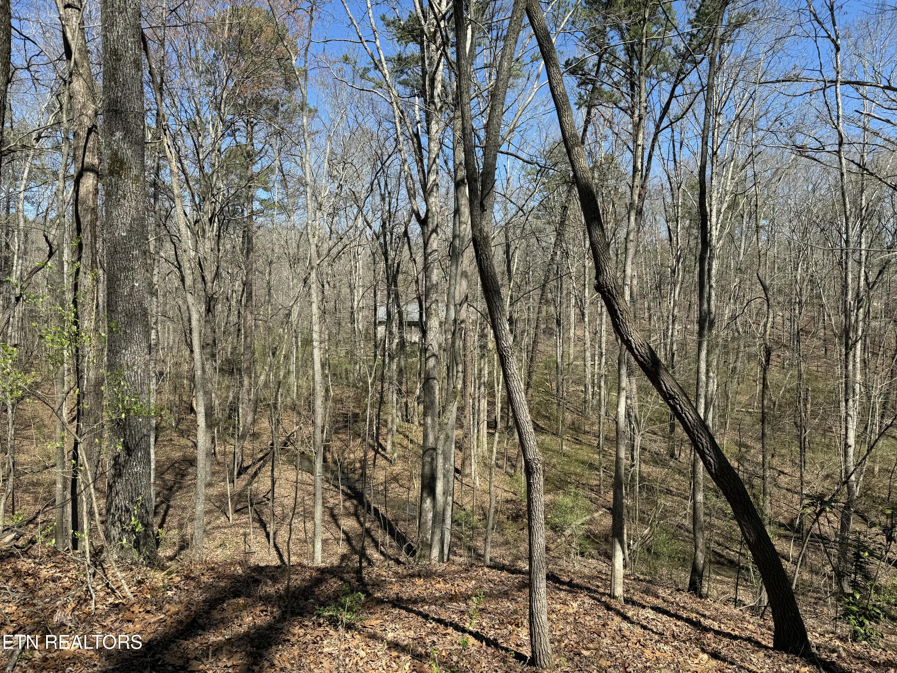 Loudon, Tennessee 37774, United States, ,Land,Active,92986