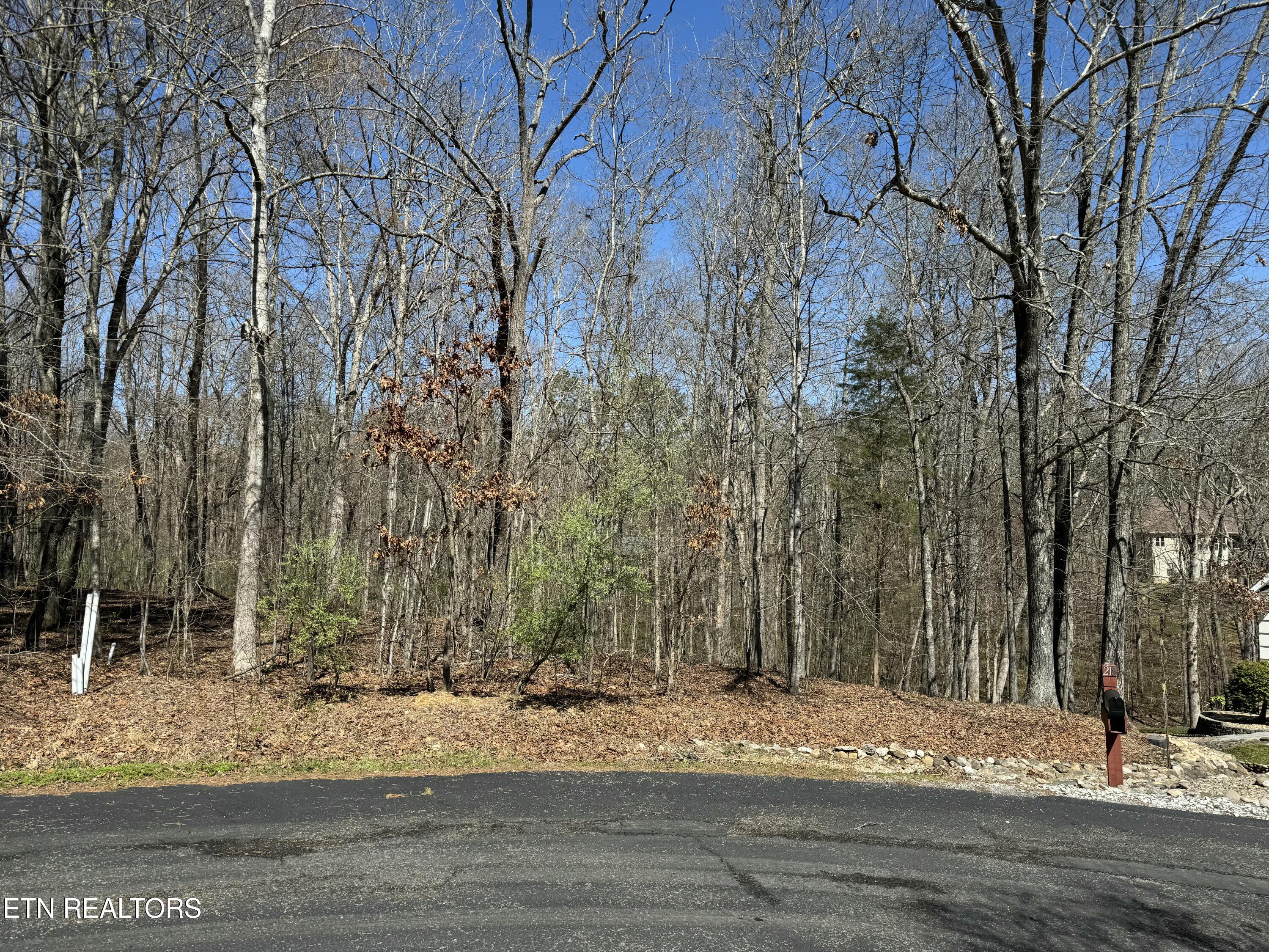 Loudon, Tennessee 37774, United States, ,Land,Active,92986