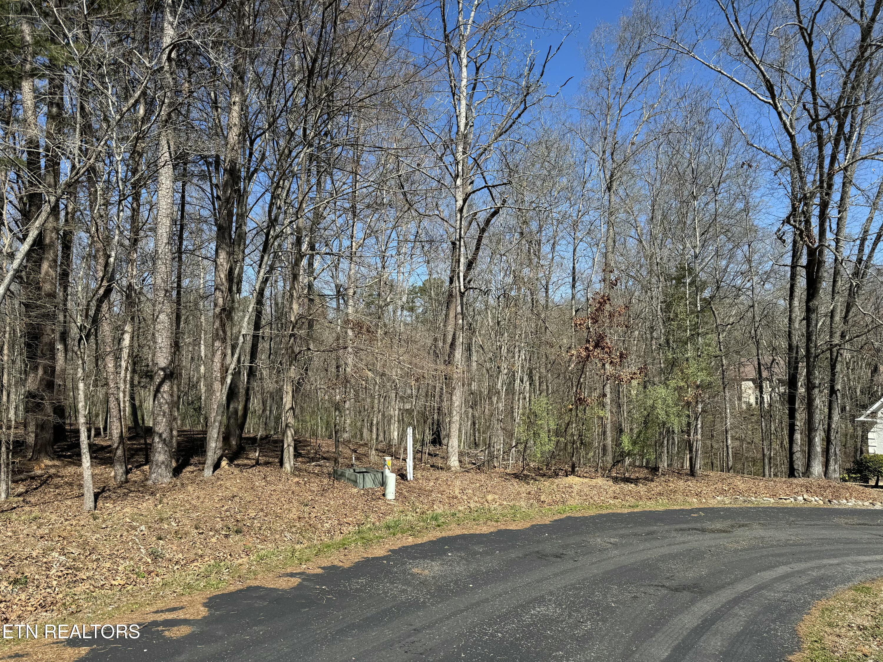 Loudon, Tennessee 37774, United States, ,Land,Active,92986