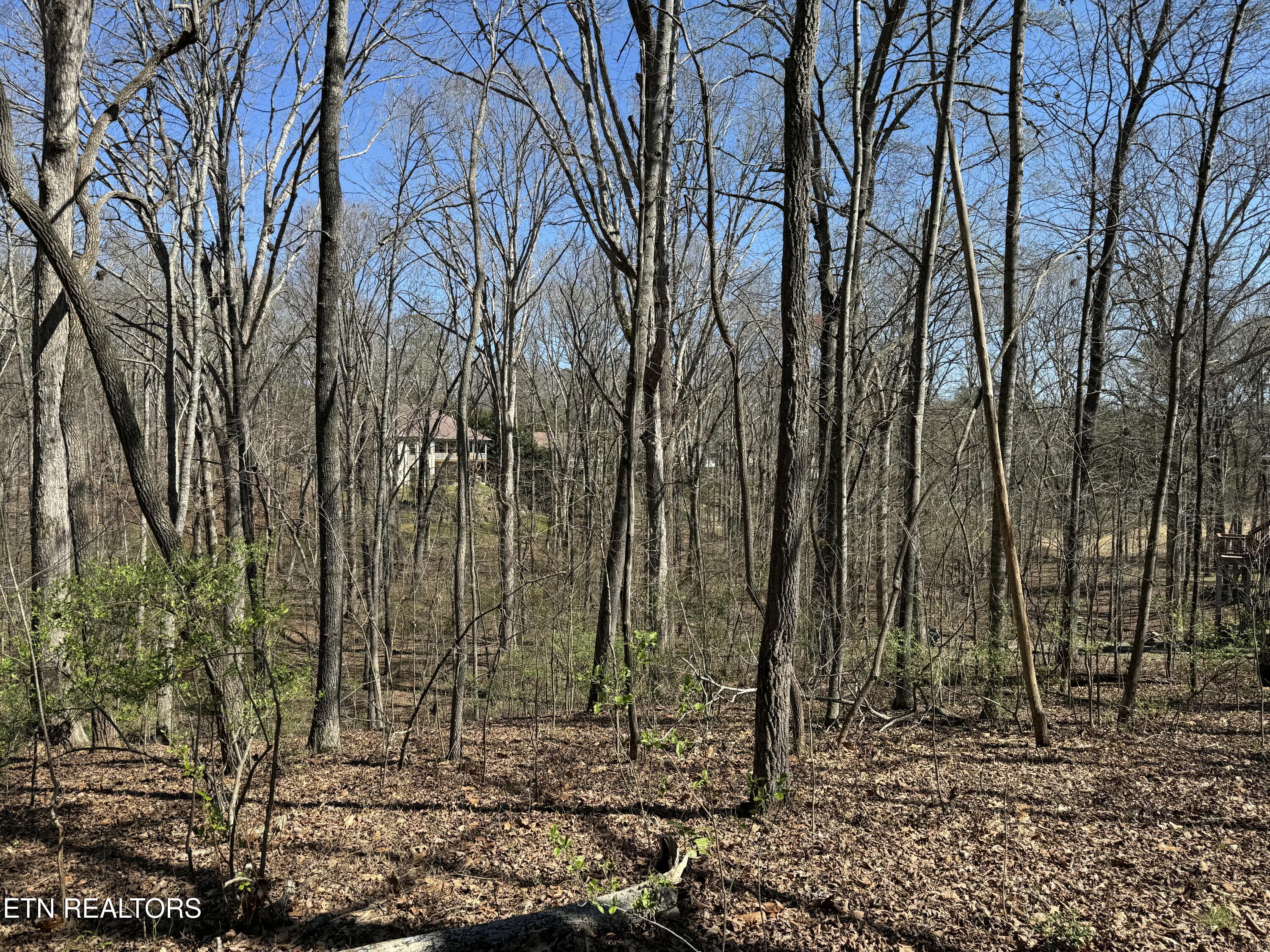 Loudon, Tennessee 37774, United States, ,Land,Active,92986